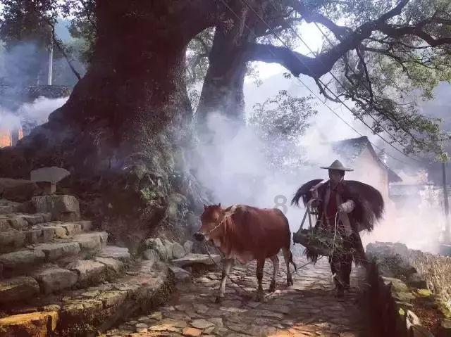 沪江开心词场