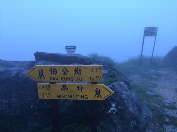 次元喵