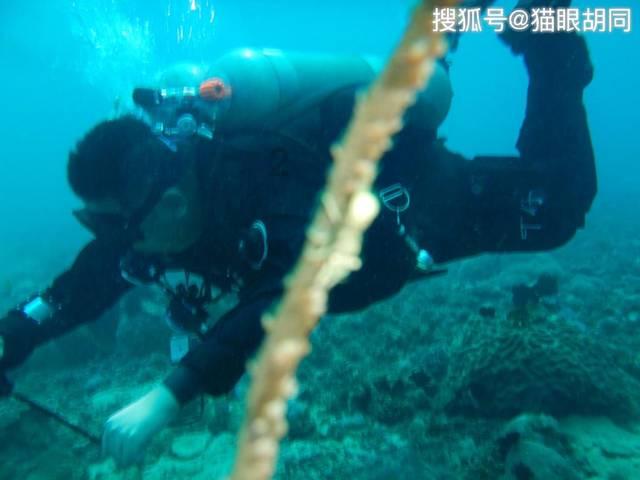 影视工厂