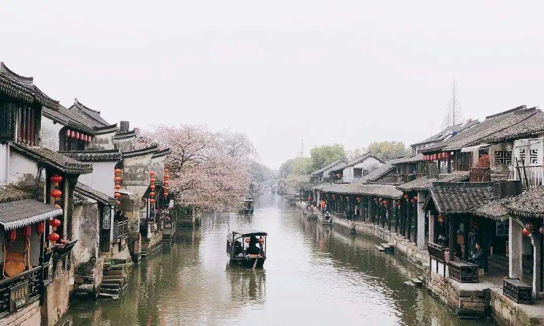 创作猫